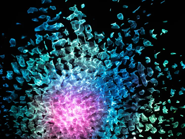 Immagine per l'articolo: Test ambidestro