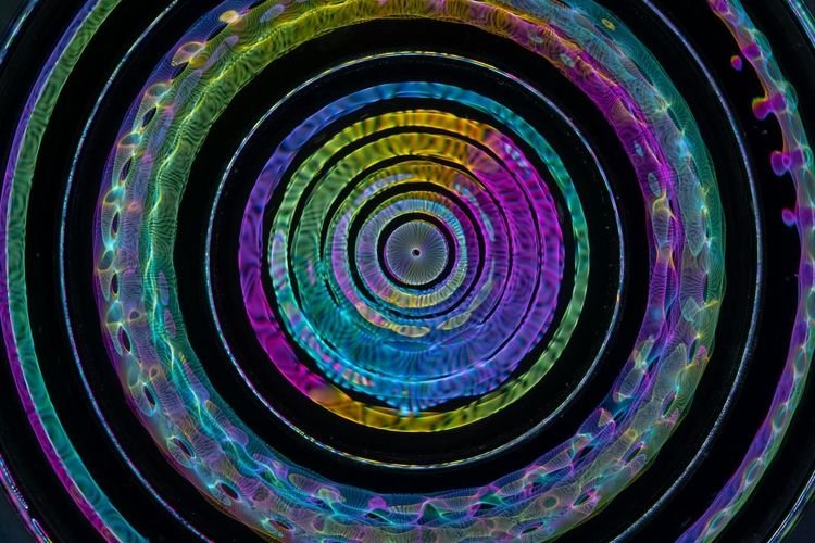 Immagine per l'articolo: Statistiche sugli ambidestri: quanti sono davvero